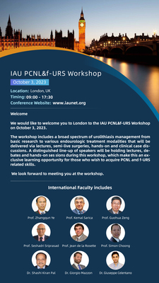 IAU PCNL＆f-URS Workshop