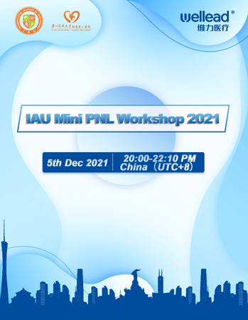 IAU Mini PNL Workshop 2021