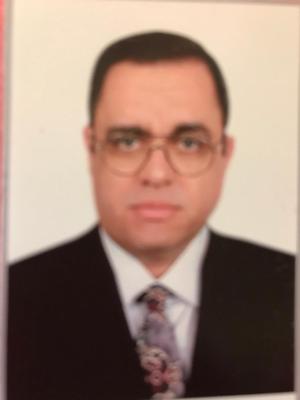 Mohamed &nbsp;Sayed