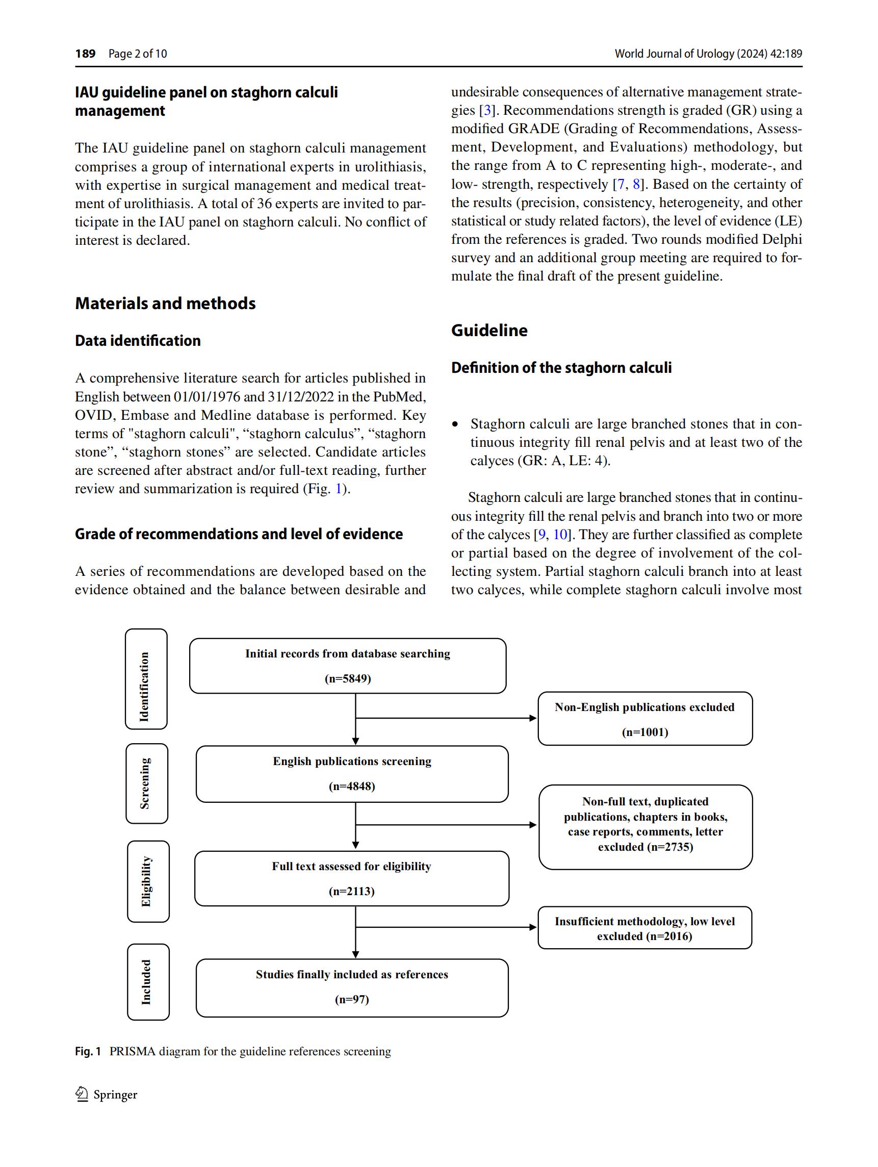 staghorn calculi management_01.jpg
