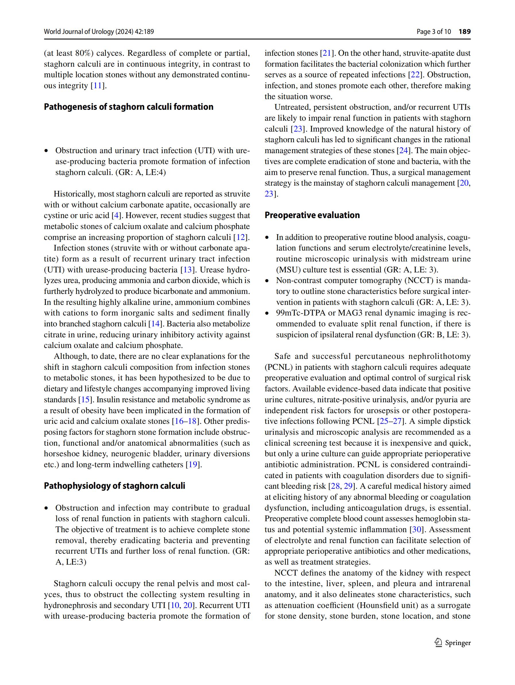 staghorn calculi management_02.jpg