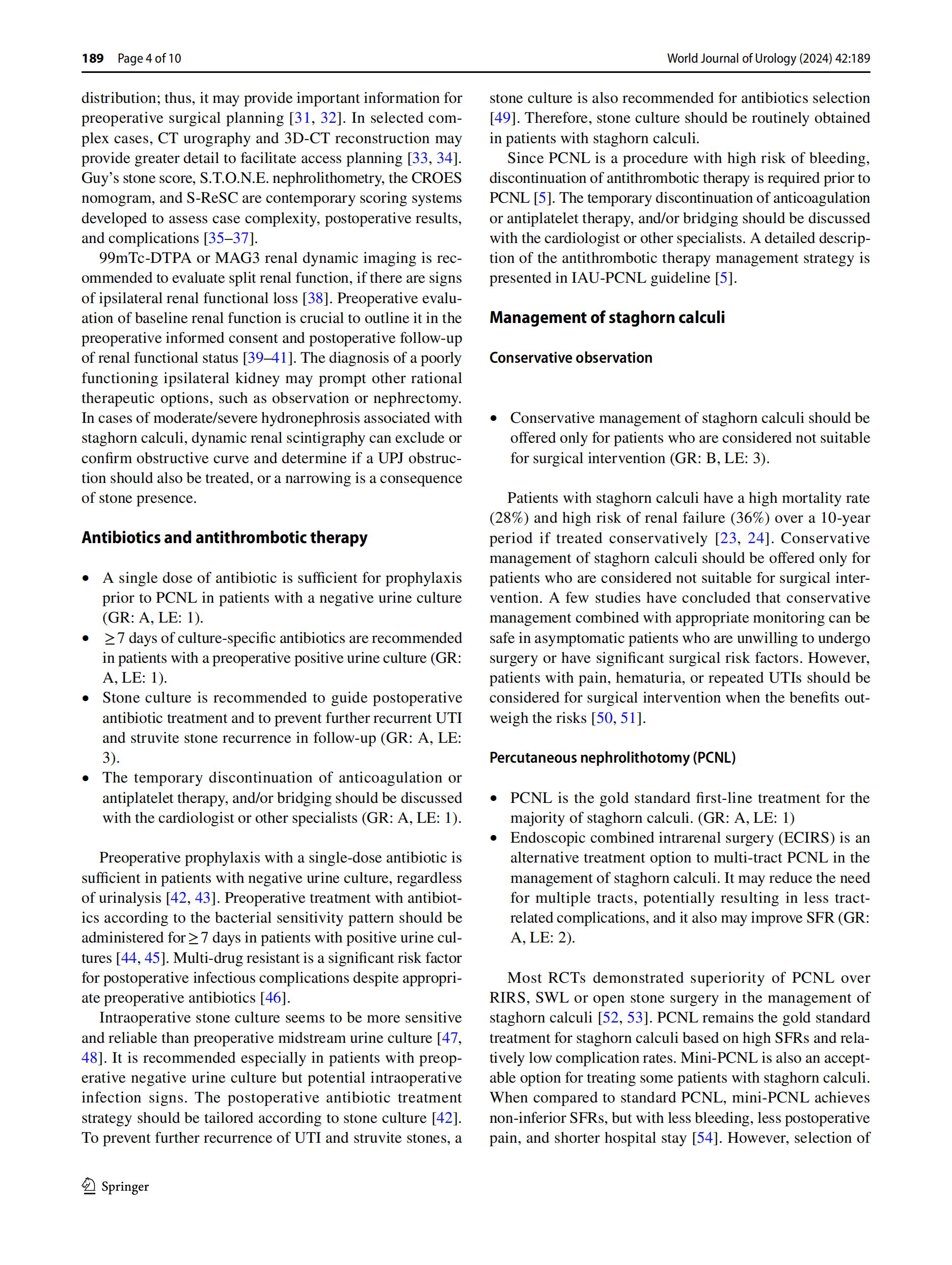 staghorn calculi management_03.jpg